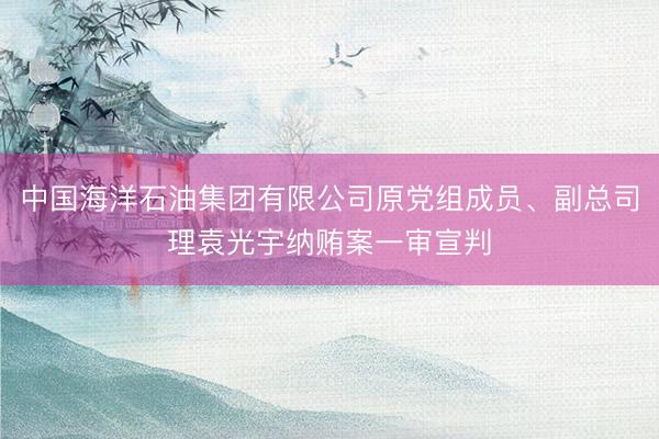 中国海洋石油集团有限公司原党组成员、副总司理袁光宇纳贿案一审宣判