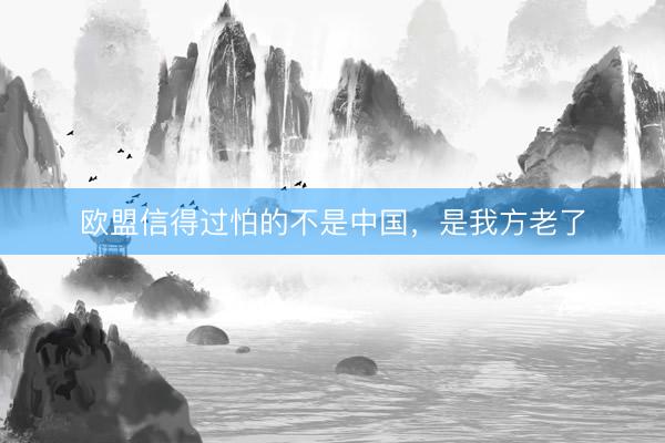 欧盟信得过怕的不是中国，是我方老了